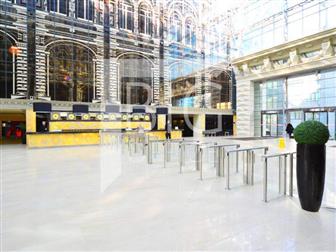 ID #479,       246 , ,     ,   ,   ,       