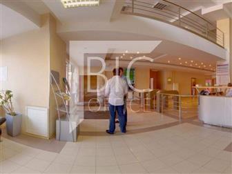 ID #482,       373 , ,     ,   ,           