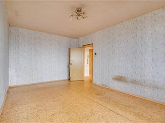  - 29931263

 6,5%! 

    -,   ,  

 2-   

   