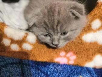 29 ,              ,  ,  ,  