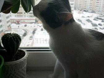   , , !/  ,   ,!,  ! ,        