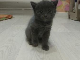     ,  17 , , ,   