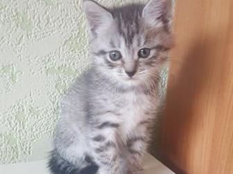      ,   20 ,     !         