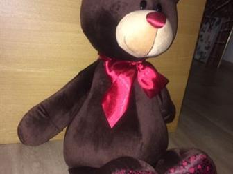   ,  Choco, 70cm,     3500,    2800:    