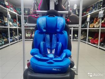  Teddy Bear ZY Isofix       ,         ,   