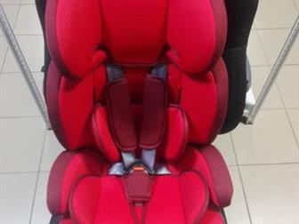  Teddy Bear ZY Isofix       ,         ,   