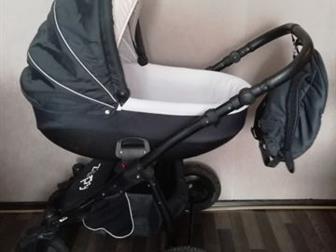      zippy sport 21?? , ,   3     ,  ,   