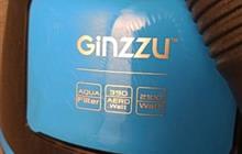  Ginzzu  