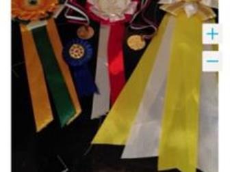 ��������� � ����� ������ ����� �����,  �������� �� ������,  �������� �����������! ���������� ������ ��������,  � ��� ����� ������, ������������, �����, ��������, � ������������