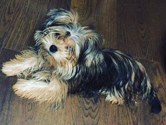 ������� ����� ���� ������� � ������������