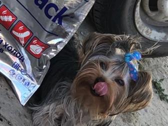 ������� ����� ���� ������� � ������������