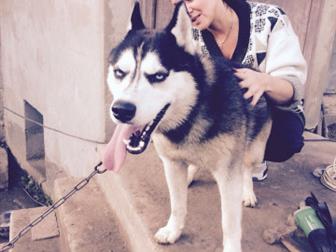 �����, �� ��������! ��� ����������, �� ��������� ����,��� ���� � ���� � ���������!???????? � ������������