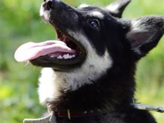 � ����� � ��������� � ������, ���� ����� ������ ������������� �����,  �����������, ������, ����� ��������, �������, ������ ��! � ������������