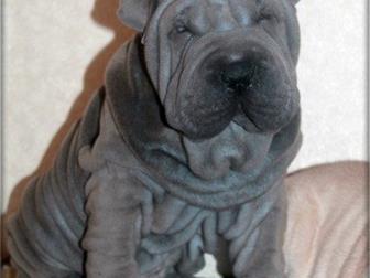 ����������  ������ ��� - ��� �������� ������ , ��� ������ - ���� �� �������� ����, ������ ����� ����������, ������������ ������ � ����������� �����������, ����� � ������������