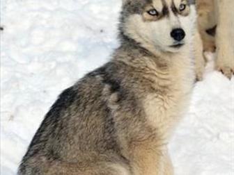 ������ ������ 6 � 7������� �������� 3 ������ � ��� ����� ,���������,������,��������, �����������,��������,�������� ������,����� ��������� � ����������,������������� � ������������