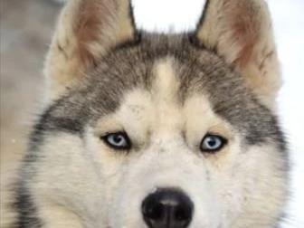 ������ ������ 6 � 7������� �������� 3 ������ � ��� ����� ,���������,������,��������, �����������,��������,�������� ������,����� ��������� � ����������,������������� � ������������