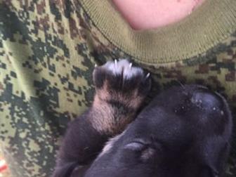 � ������ ���� ������� �����, ������� �����, ����� �� ��������� �������, ���-�� 1,5 ������, ������ ��������������,����� �����, ����� ������� ������, � ������������