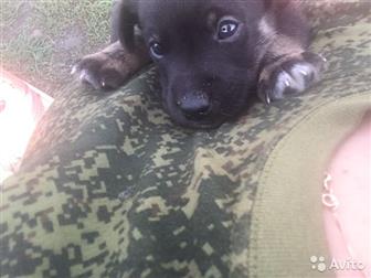 � ������ ���� ������� �����, ������� �����, ����� �� ��������� �������, ���-�� 1,5 ������, ������ ��������������,����� �����, ����� ������� ������, � ������������