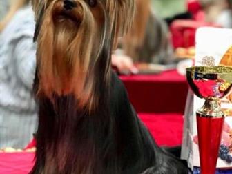 ������ ������������ �������� ������������ �������,  ����� �������� - � ����� ��������� ����������,  ������� ��������,   �������� ���� � ������� ��������� �������, � ������������