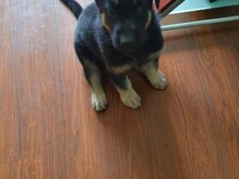 ������������� �������� �����-������� �� ����� �������������� ���� ����������� � ����� �������,   ����� �� ����������������, �� � ����� ��� ������ �������� ���������- � ������������