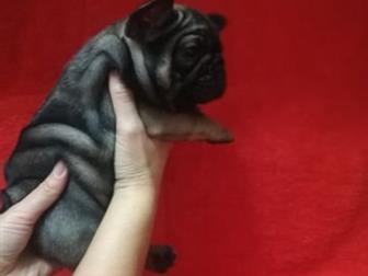 ������������ ��� �������������� ����� ������������ �������� � �������� �����������,  �� ������ �������� ����� ����� ������, ������� ��������, �������� �� ��������, � ������������