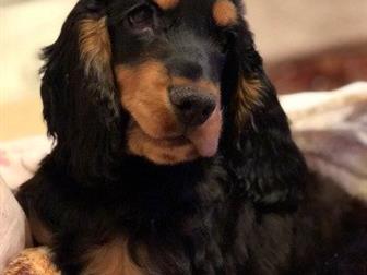 �������� �����, �������, �������� � �������, � �����������,  �� ���� �������� �������! � ������������