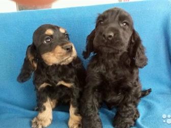 �������� �����, �������, �������� � �������, � �����������,  �� ���� �������� �������! � ������������