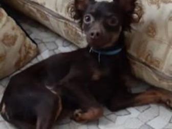 1�����O? � ������������