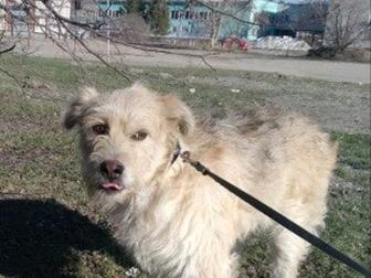 ?? ������ � ������ ������� ���� ���!! ??  ������� (����) - ������� ������, 1,5 ����, ������ � �������� � ������� ����� �����,  ����������, � ��� ������ - ���� �������������� � ������������