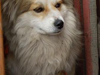 ������ ����� � ��� ��� �� ������ ����� ��� ���������� � ������� ������� � ����� � ������ ����������,  ��� ����� �������! ������� � ���� �������� ������� � ��������� � ������������