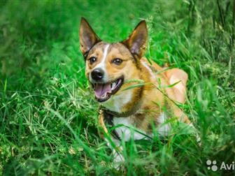 ����� � ����������� , ������� �������, ����������� ������,  �� ����� ����, �������, �������������,  ����� ��������, �����, ��������� �������,  ��� � ��� ���������, � ������������