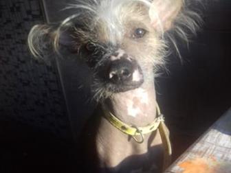 ������, 3 ����, � ������������