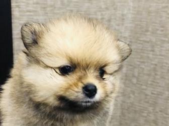 ������ ������������� ������ ������������ �����, ������� 31 ���� 2019 ����, ��� ������  ����������� �� ������ ������ ��������� ! ���� � ���� � ����������� �� ��������� � ������������