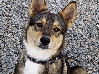 �����������, ������, �������, �������� ����� � ������� ���� � ���������� ������,  ����� �����, ���������, ������� ����� � ������� ��������,  ������� 7-8 ���,  ��������� � ������������