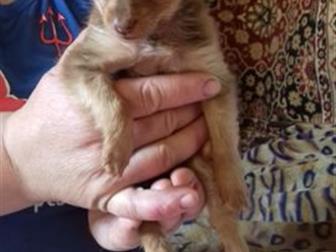 ������ ����� ���-�������, ������� � ��������, ���� �������� 05, 08, 2019�, �� ��������� ���� ���� � ����, �������� ����, � ������������