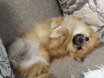 ��������� ���� �������, ������ ������,  ������� 7 �������,  ��������, ����� �������! �� ��� ����������, ���������,  �������� �� �������� ����������, � ������������