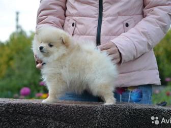 �������� ����� �������, ���������� ������ ��������� ����� �������� � �������, ����� ���� � ����� �, � 12 ����, ������ � ��������, ������� �� ��������,  �������������� � ������������