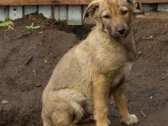 ��� �������� �� 2���,  ������� �����������,  � ��� ���� ���������� ����������� ����������� ��������� �������� ����� � ���������,  ������� � ������������