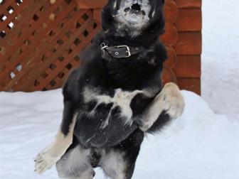 ����� - ������� � ��������� � ���� ��� � ����� �������� ���, �� �������, ��� �� ����������� ������ ������ �������!����� ��������� ��������, �������� � �������������, � ������������