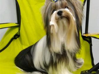 ������������ ��� ����� ����� �������� �������������� ������ ������, ��������� ����� �����! ���������, ��� 2,2 �������� ����, ����� ����� ������, ��������� ��������������� � ������������