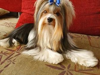 ������������ ��� ����� ����� �������� �������������� ������ ������, ��������� ����� �����! ���������, ��� 2,2 �������� ����, ����� ����� ������, ��������� ��������������� � ������������