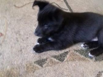 ����� ��� �������,������� 2������,  ����� �������� �������, ���� ���� ������,  �������� ��������, � ������������