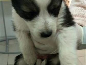 ���� ��� � ������������� ������, ��� �������!!������ ���� � �������� � �����?��� �� �� ���� �������?������� ����, � ����� ������ �� ������!������ ���� � ������ �������� � ������������