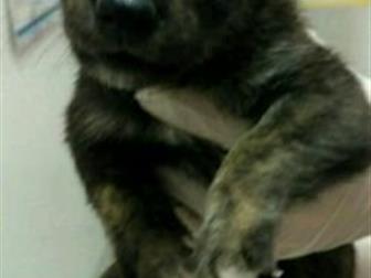 ���� ��� � ������������� ������, ��� �������!!������ ���� � �������� � �����?��� �� �� ���� �������?������� ����, � ����� ������ �� ������!������ ���� � ������ �������� � ������������