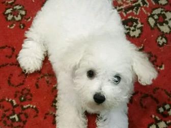 �������� �������!3 ���, �������,��� �������,�������� �� ������, ������ �������� ���, ������������, ����� �����������, ����� �����! �����-����������� �������! ������! � ������������