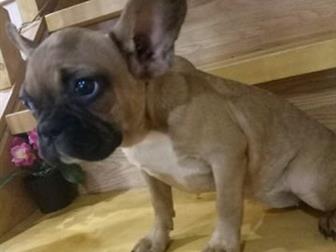 ����� �, �, 15,  �����, � �����������,�������,�������� �� ������, ���� ����������� ����, � ������������