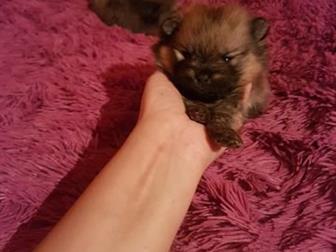 ������� � ������� ��������,  ������� � �������,  �������� 27 �������, ����-����� ���� ������, ����-����� ��������,  ���� ����� ���� ������ � ������������