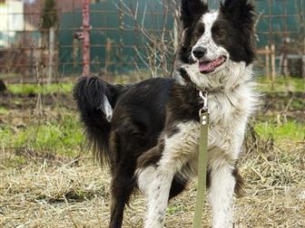 �����  ������, ������   �����, ������, ������, ������� 3 ����,��������������,   �������� � ��������  ��� � �/�  (� ������ ��� �� ��������)� ����� ������,  �������� � ������������