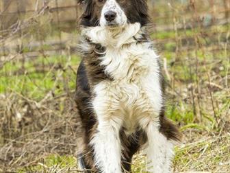 �����  ������, ������   �����, ������, ������, ������� 3 ����,��������������,   �������� � ��������  ��� � �/�  (� ������ ��� �� ��������)� ����� ������,  �������� � ������������