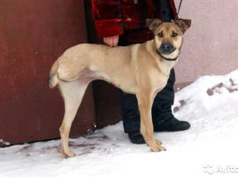 � ����� ��� �����, �������� ���� ��� ��������� ��� �������,  ��� ������� ����� ! ��� ��� �� �������� �������� ���� ����, �������� � ������� �/� �����, , , , , �� � ������������